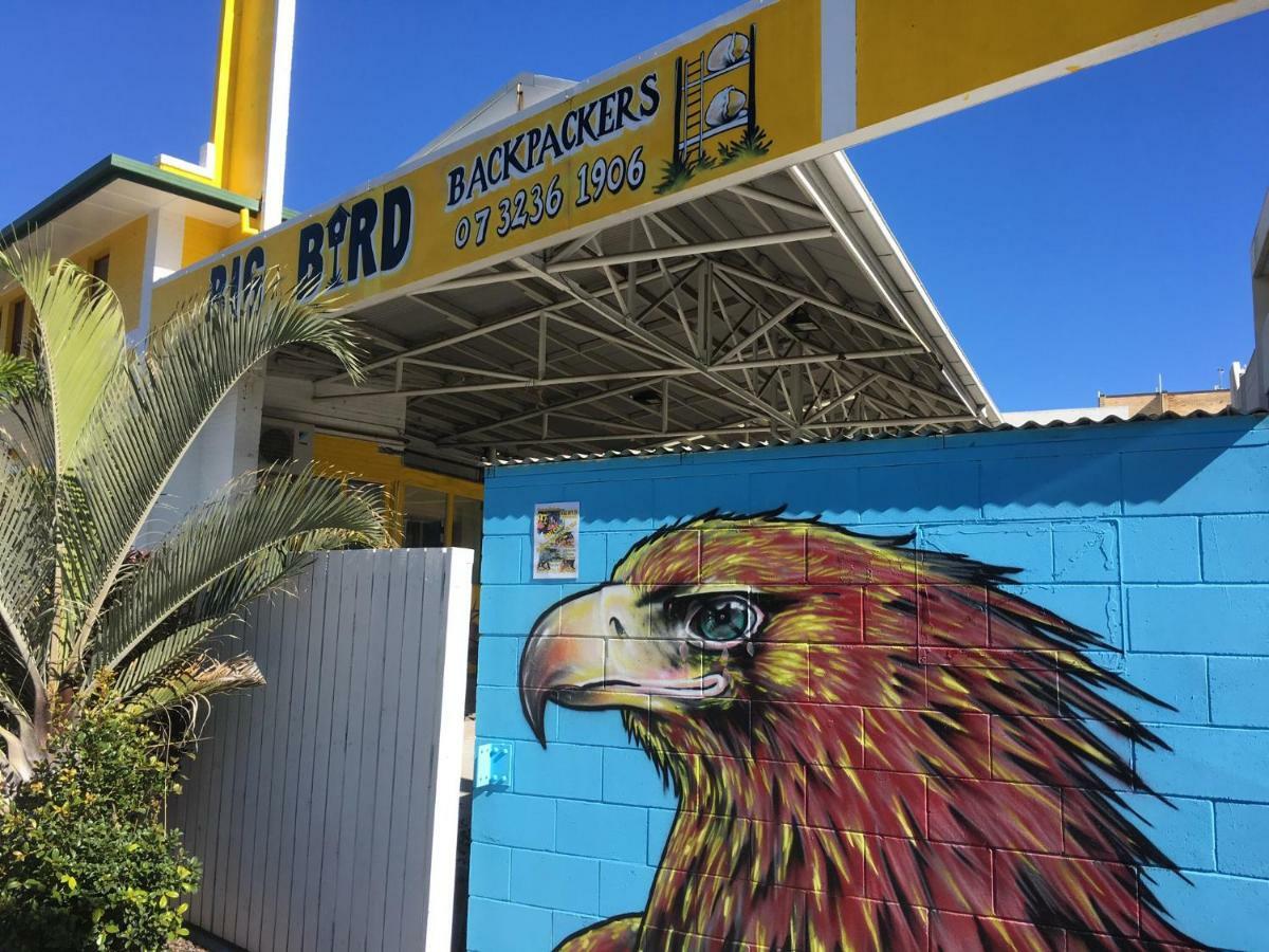 Hostel Big Bird Backpackers Brisbane Exterior foto